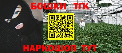 Альфа ПВП Кандалакша