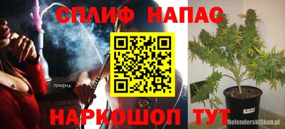 гидра Камышлов