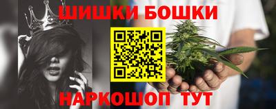 гидра Камышлов