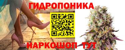 хмурый Канаш