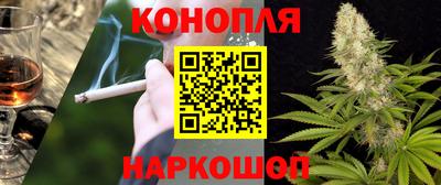 Альфа ПВП Кандалакша