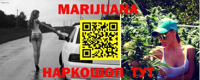 гидра Камышлов